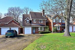 Photo 21- click for photo gallery